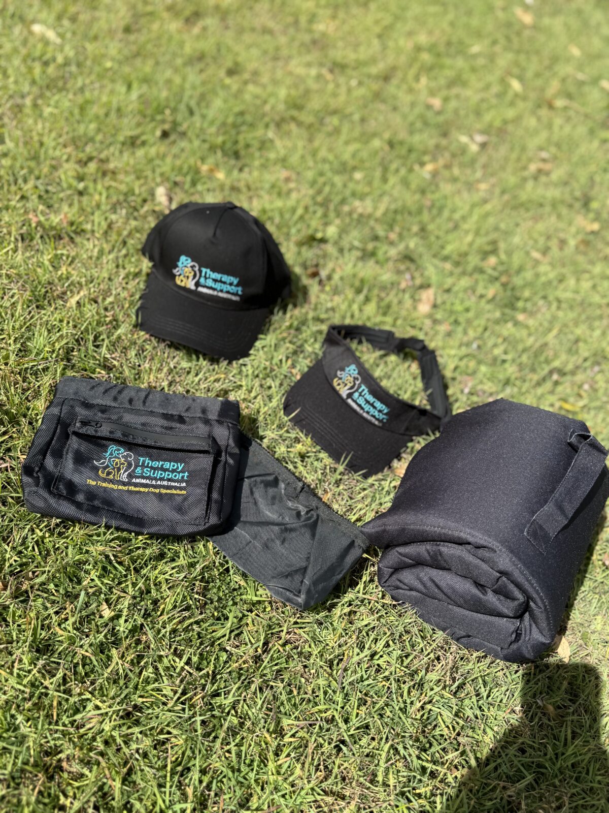 BUNDLE SALE Treat Pouch, Training Mat, Hat or Visor